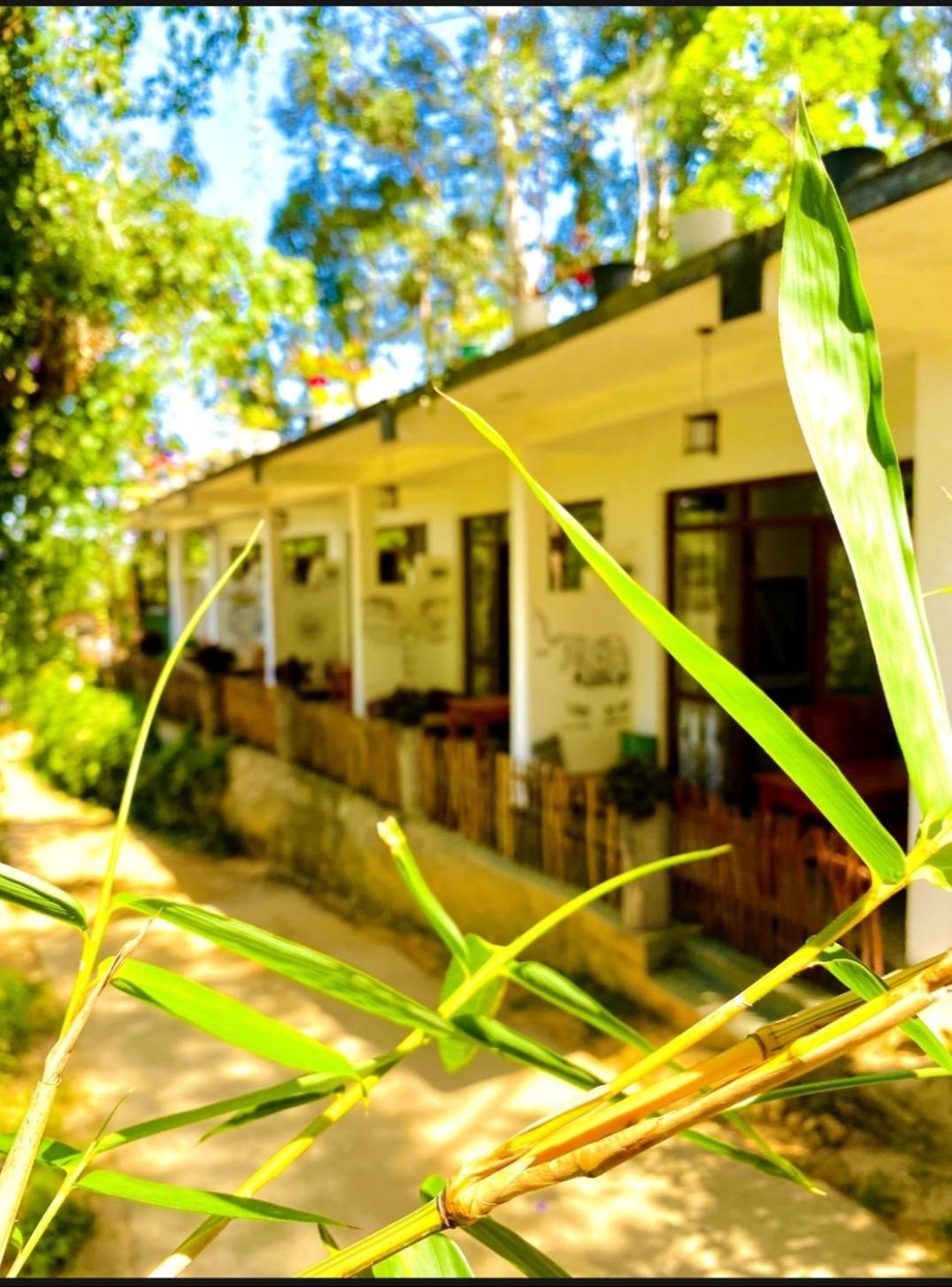 Blissful Haven Hotel Ела Екстериор снимка