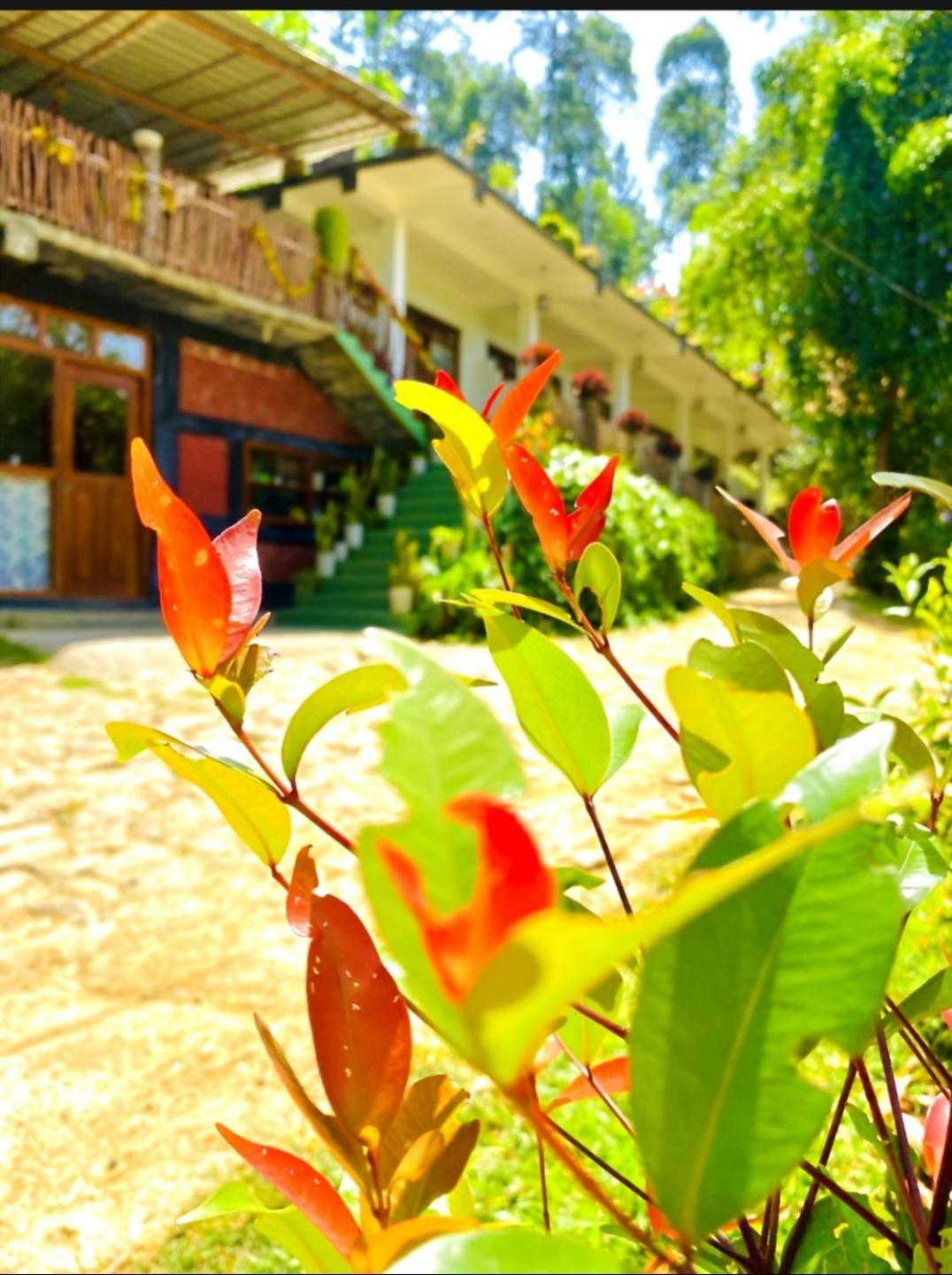 Blissful Haven Hotel Ела Екстериор снимка