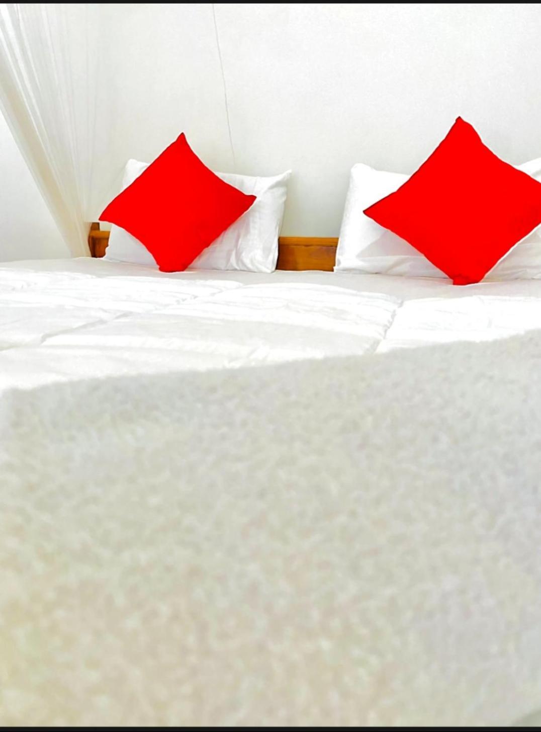Blissful Haven Hotel Ела Екстериор снимка