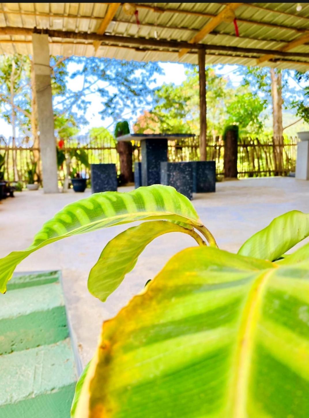 Blissful Haven Hotel Ела Екстериор снимка