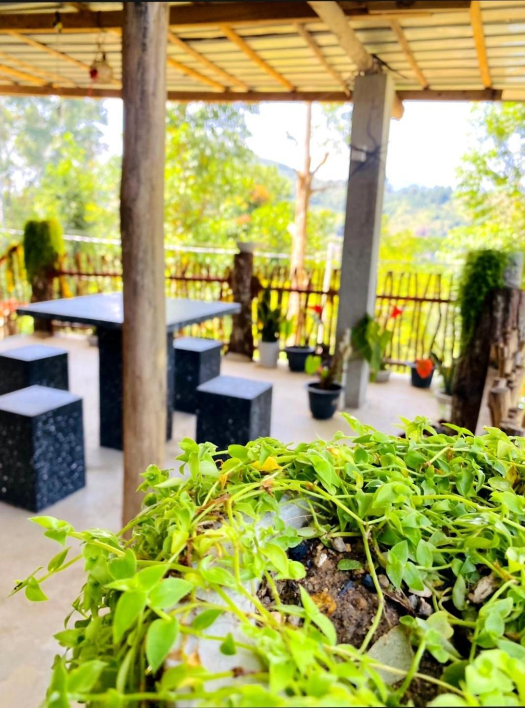 Blissful Haven Hotel Ела Екстериор снимка