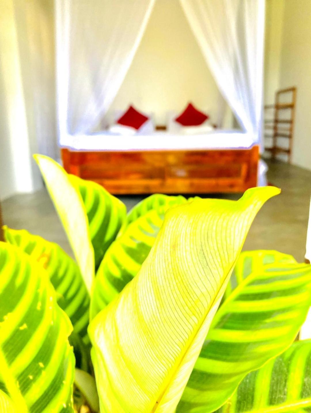 Blissful Haven Hotel Ела Екстериор снимка